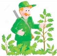 warden-clipart-forester-17198441
